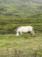 IMG_0509
