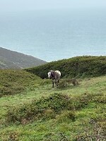 IMG_0510