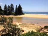 Terrigal en omgeving