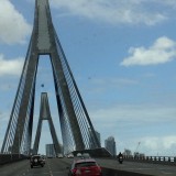 Rozella De brug