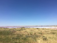 IMG_4550