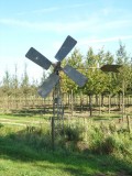 oude windmolen