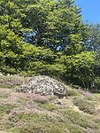 Pyreneeën