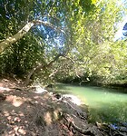 Aan de Rio Ega