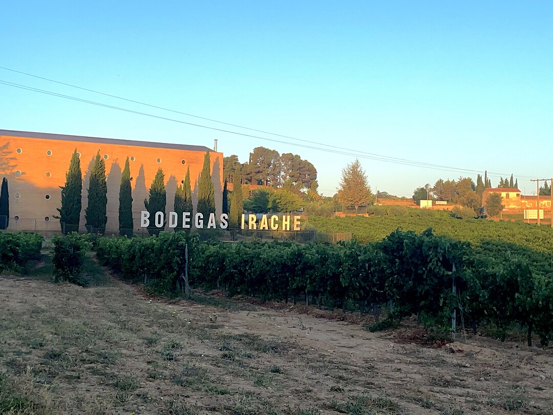 Bodegas Irache