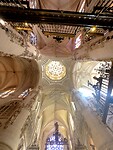 IMG_3295