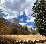 IMG_3336
