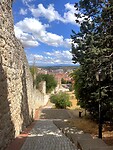 IMG_3340