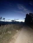 IMG_3433