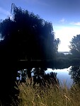 IMG_3436