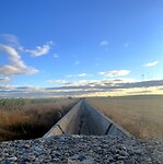 IMG_3444