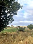IMG_3447