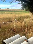 IMG_3448