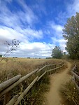 IMG_3449