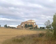 IMG_3453