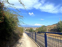 IMG_3576