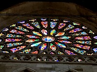 IMG_3667