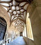 IMG_3696
