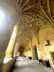 IMG_3716