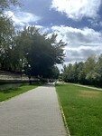 IMG_3729