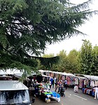 IMG_3733