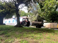 IMG_4252