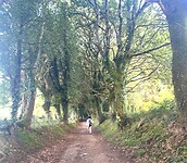IMG_4324