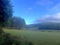IMG_4327