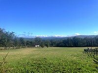 IMG_4331