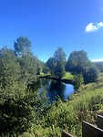 IMG_4334