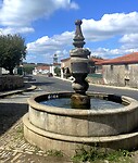 IMG_4339