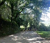 IMG_4340