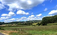 IMG_4345