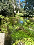 IMG_4349