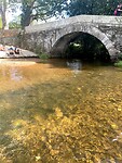 IMG_4350
