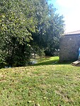 IMG_4352