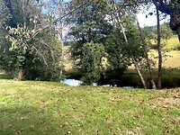 IMG_4355