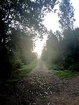 IMG_4534