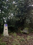 IMG_4535
