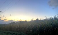 IMG_4536