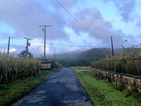 IMG_4537