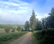 IMG_4542