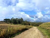 IMG_4544