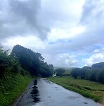 IMG_4546