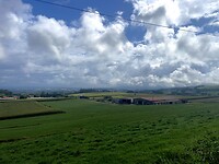 IMG_4551