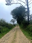 IMG_4552
