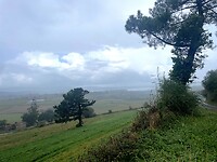 IMG_4556