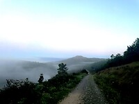 IMG_4568