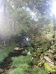 IMG_4575