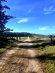 IMG_4582